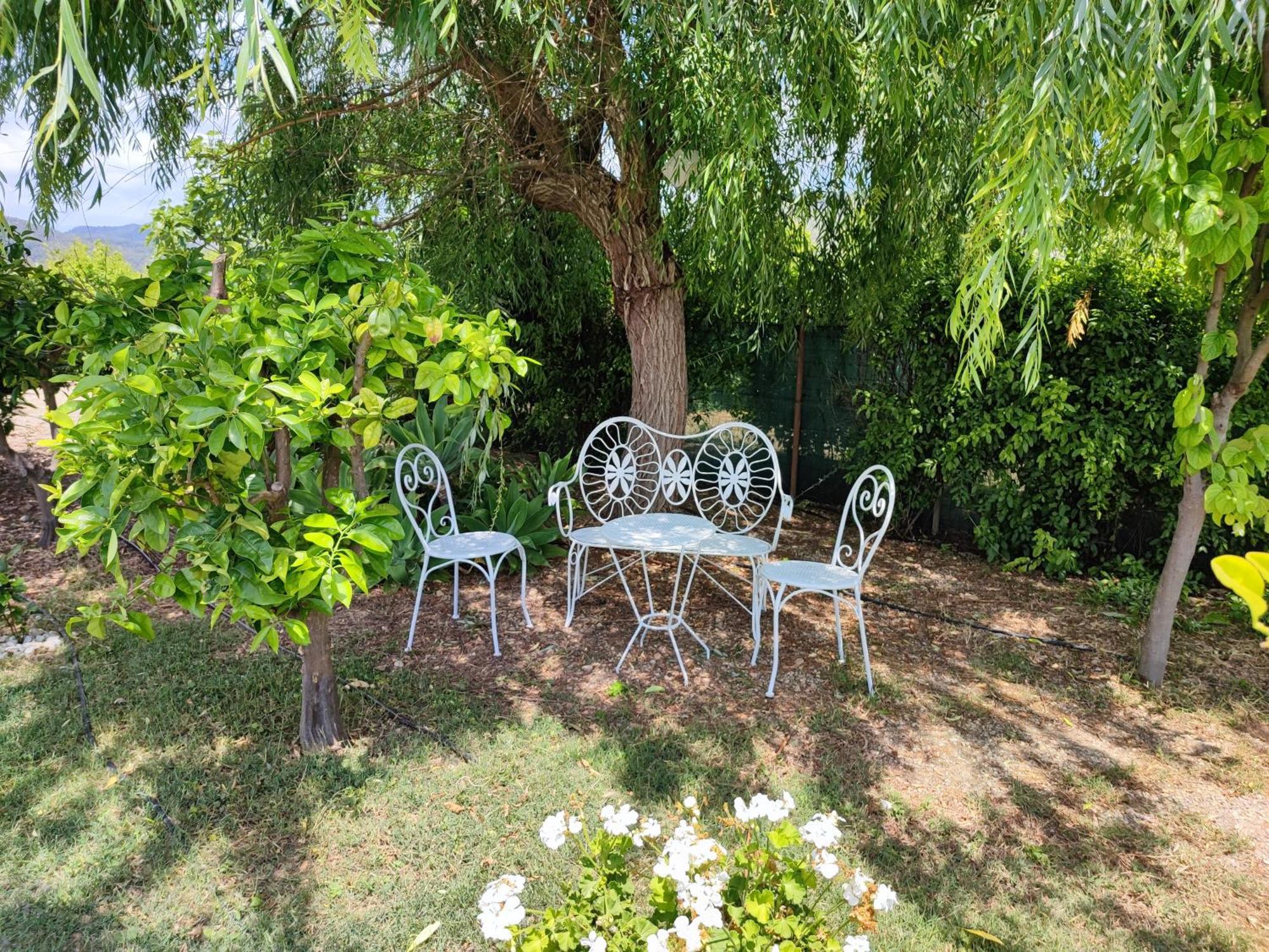 فيلا Els Tarongers Perfect For Families Or Friends سا بوبلا المظهر الخارجي الصورة